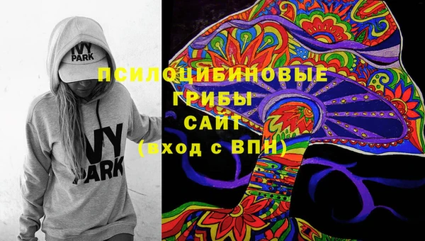 мескалин Новодвинск